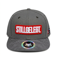 FOXED® STILLGELEGT SNAPBACK GREY